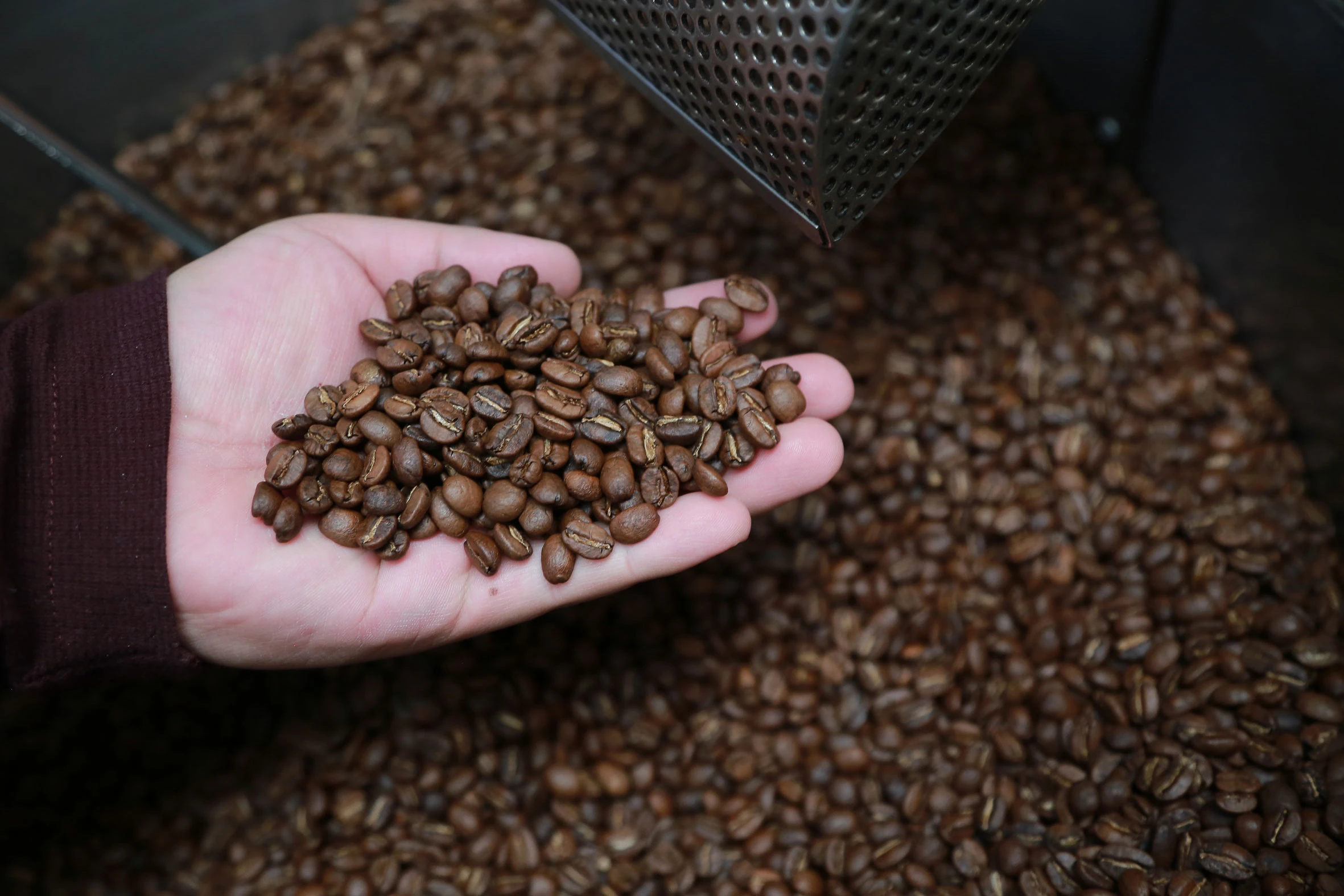 Granos de café Akuali en manos